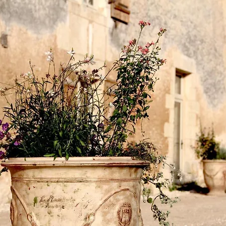 Les Cieux De Saint-felix, & Saint-Felix-de-Villadeix